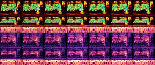 Spectrogrammes