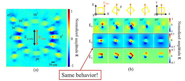 Determining electro-optic coefficient of a thin-films