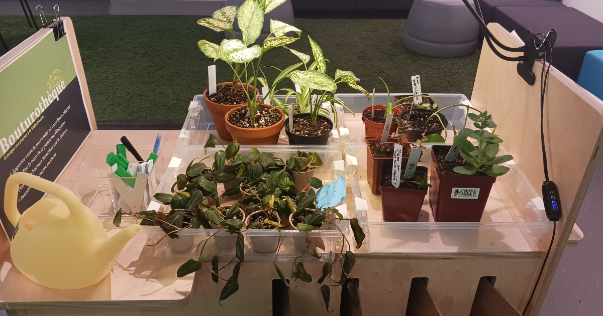 Espace de culture avec plantes variées pour projets d'étudiants en technologie.