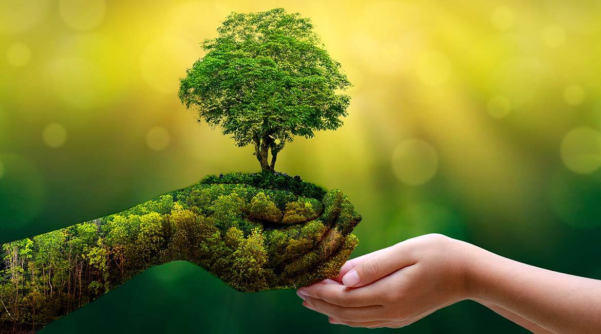 Sustainable future in our hands with green tech education. #Innovation #Environment
