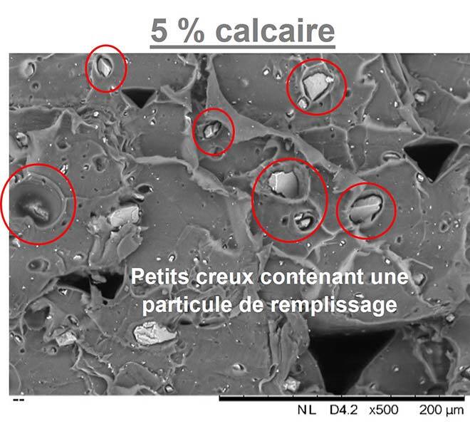 Image MEB du mélange 5 % calcaire