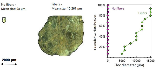 Comparison of floc size with and without fibers, showing mean sizes and a distribution graph.