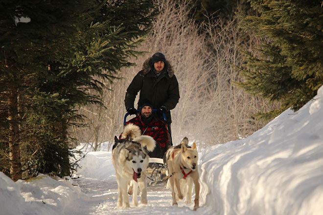 Student from France taking a break from his studies in Quebec to enjoy dogsledding in the Laurentians.