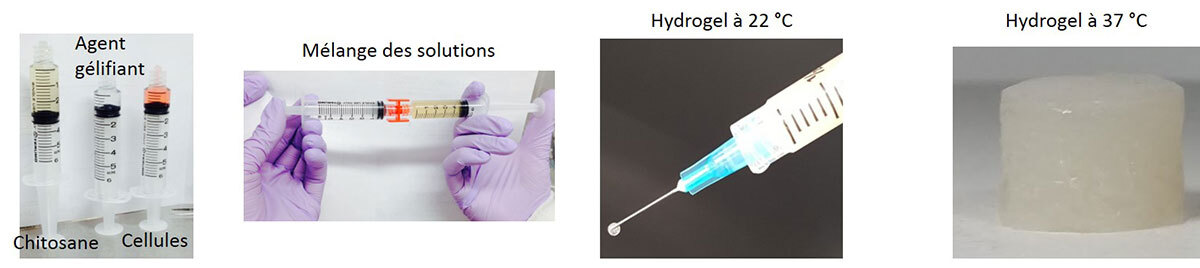 Étapes de préparation des hydrogels