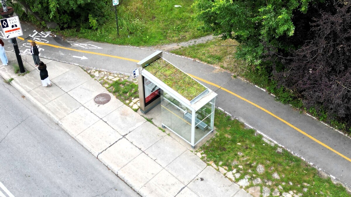 Abribus écologique avec toit végétalisé, intégré dans un cadre urbain.