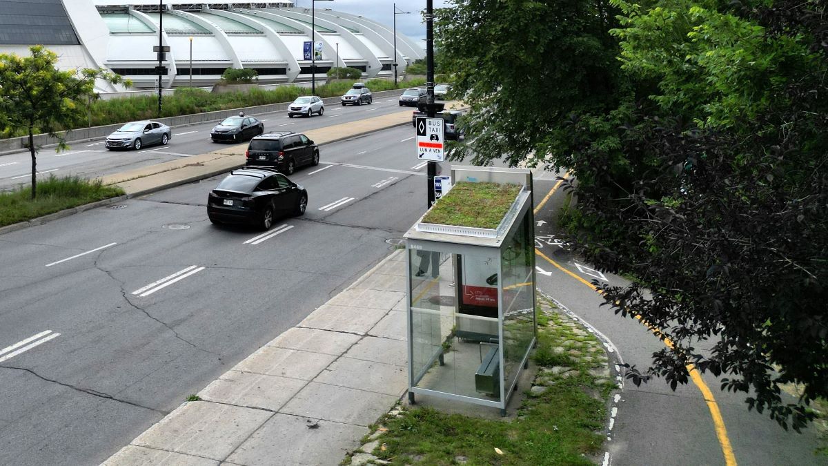 Abribus avec toit végétalisé, route et bâtiment futuriste en arrière-plan.