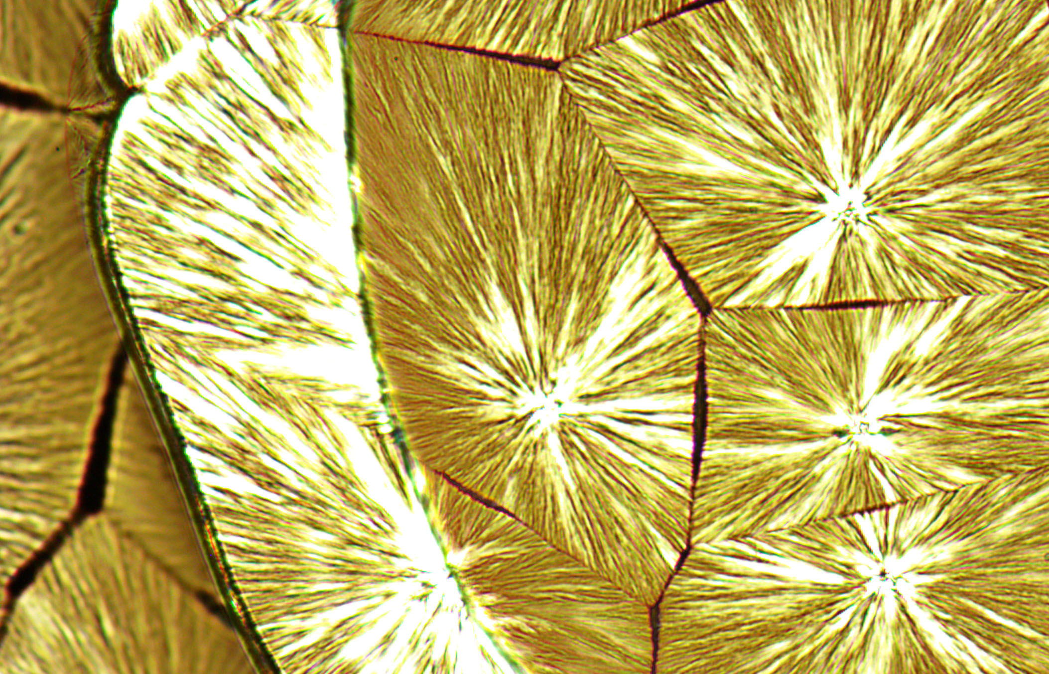 Microscopic crystal growth with radiant patterns and geometric lines.