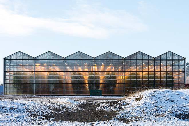 Modern greenhouse at a technology university, showcasing sustainable agriculture practices.
